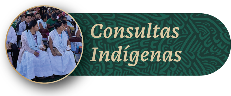 Consultas Indgenas