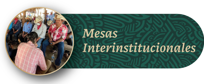 Mesas Interinstitucionales