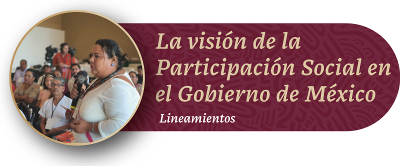 Visin de la Participacin Social